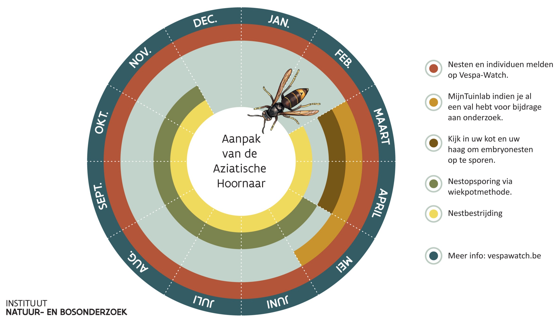 actiekalender