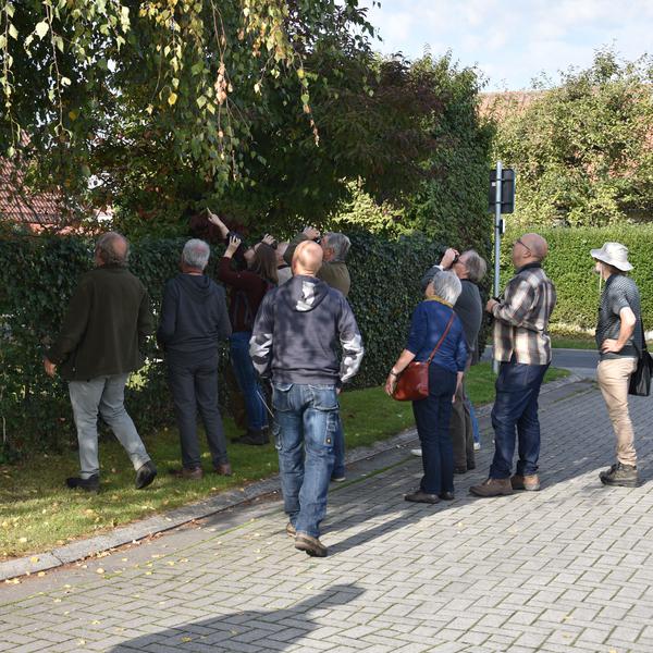 Group of observers